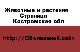  Животные и растения - Страница 11 . Костромская обл.